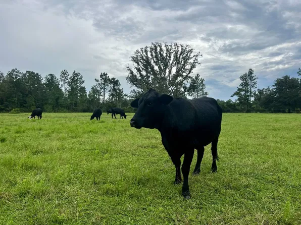 0 NW Cripple Creek St, Lake City, FL 32055