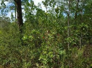 2222 Everlast Ter, Sebring, FL 33875