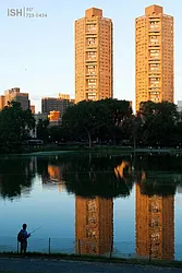 Rented by Area New York