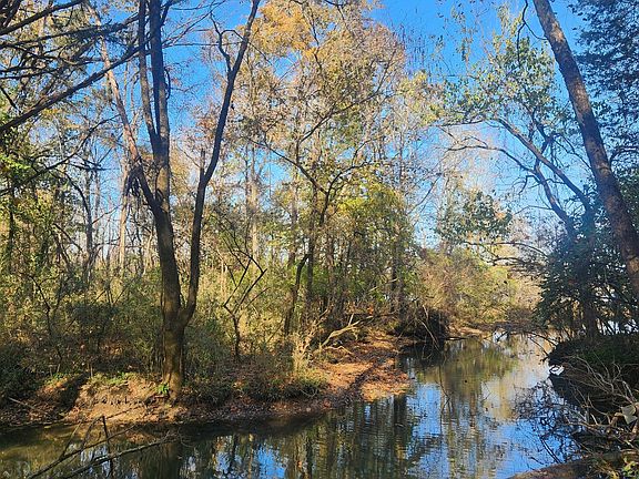 5th image of 238 Ridgewater Way