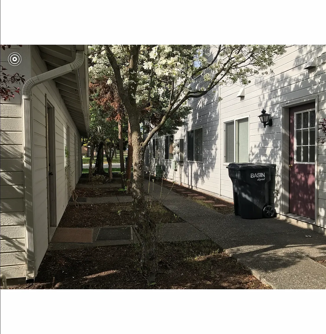 NE Cedar Ave, College Place — Photo 4