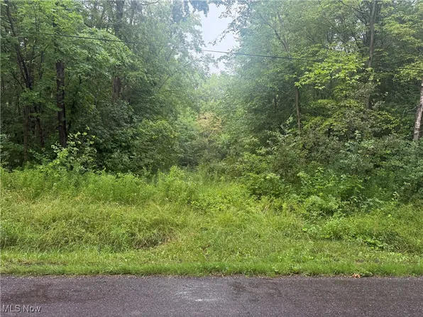 Mahan Denman Rd NE, Bristolville, OH 44402