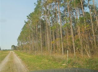 Green Swamp Rd, Clermont, FL 34714