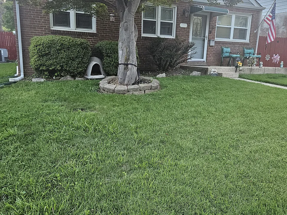 203 Rosemont Dr