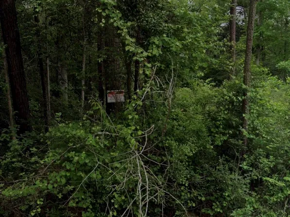 0 Bitter Creek Dr, Shepherd, TX 77371