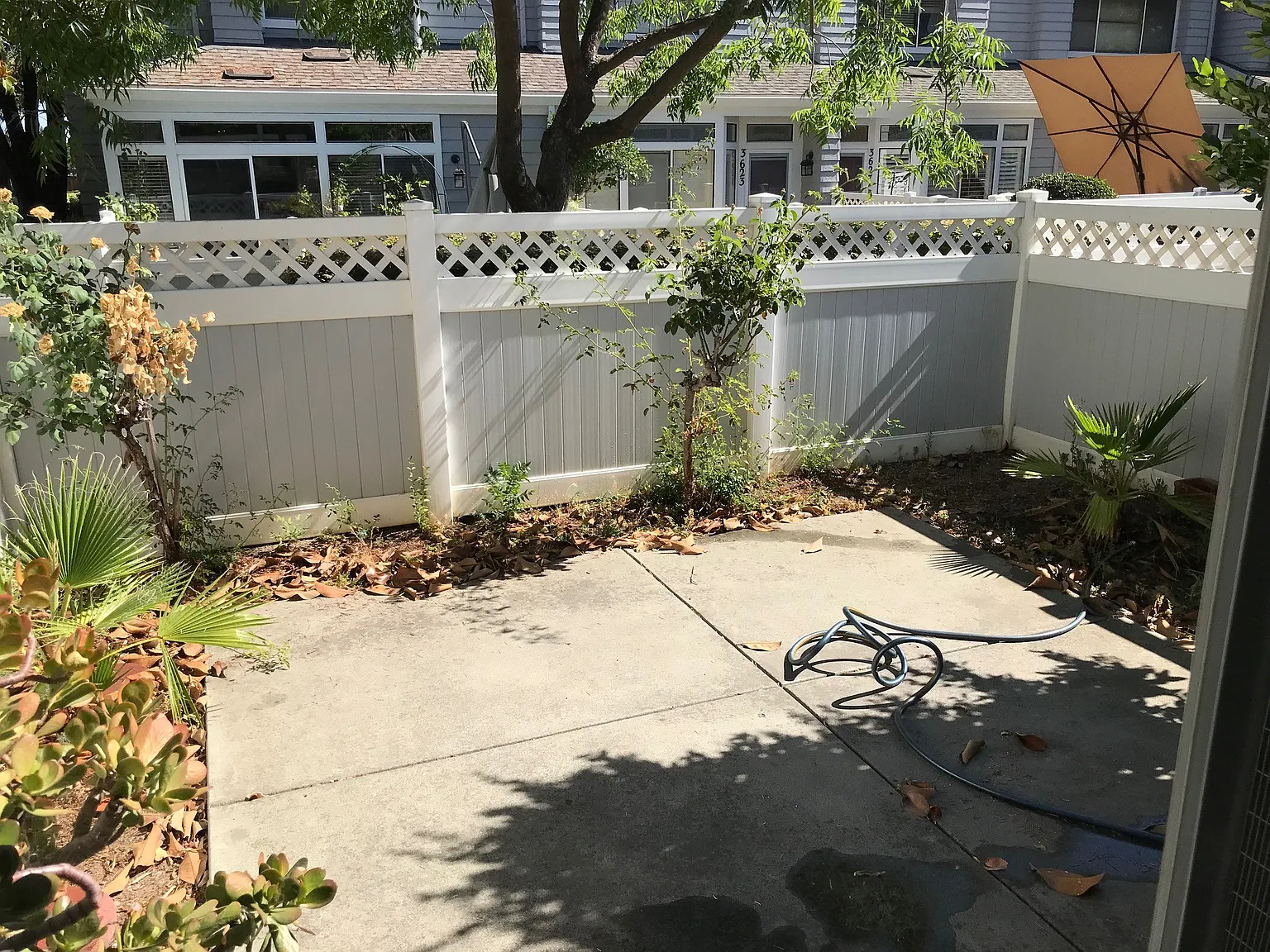 3 bed, 2.5 bath, 1718 sqft, $4,395 — Photo 4