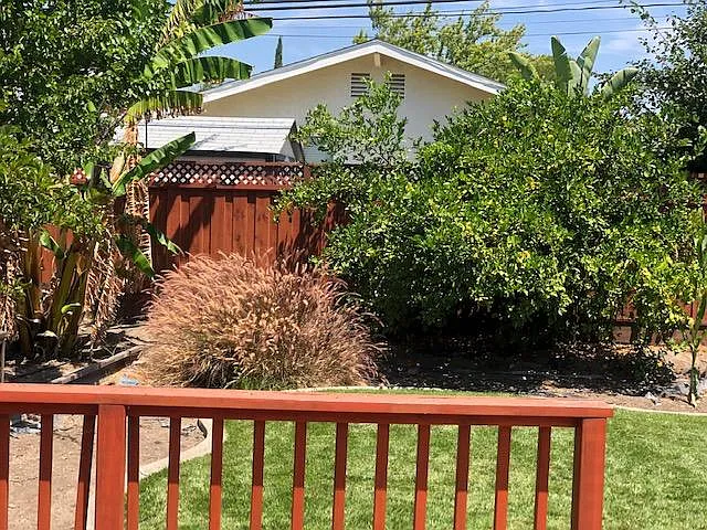 Backyard- Fruit Trees