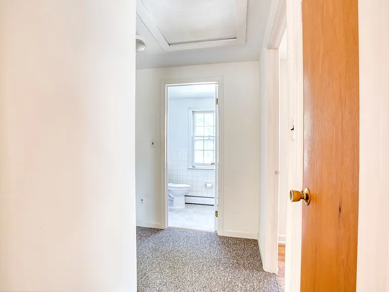 5 Fern St — Photo 39