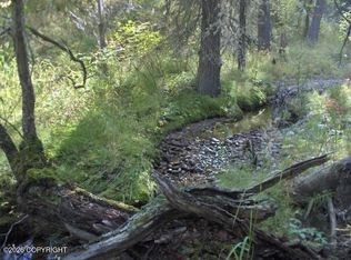 2003-16 East Rd, Healy, AK 99743