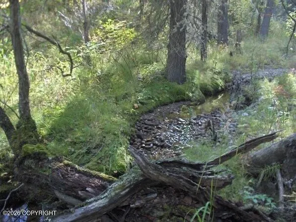 2003-16 East Rd, Healy, AK 99743