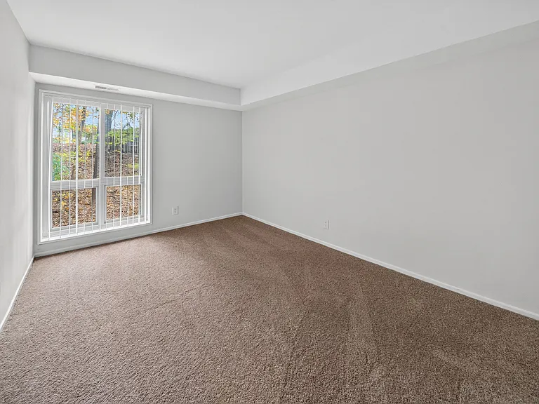 The Forest Apartments — Photo 9