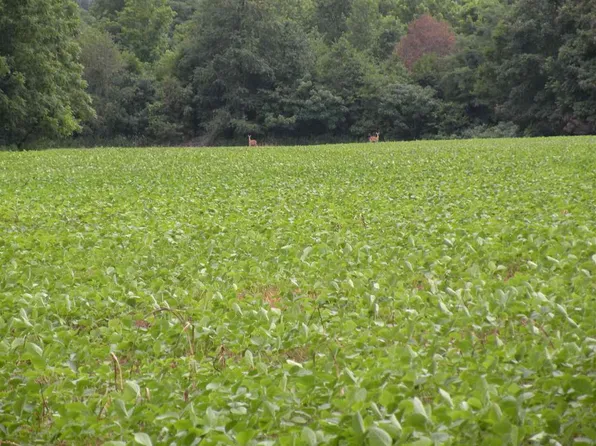 5729 Goodsprings Rd, Fredonia, KY 42411