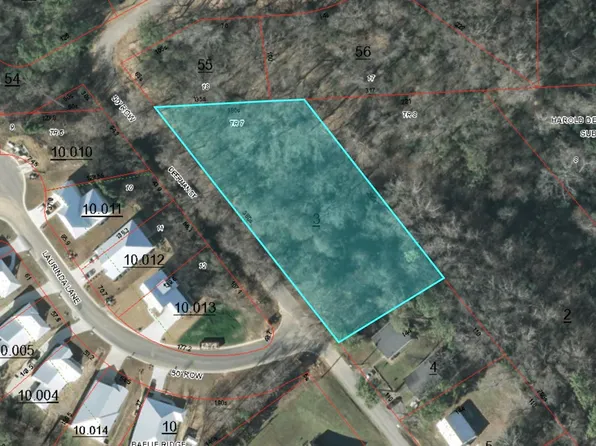 1.25 Deerman St, Guntersville, AL 35976