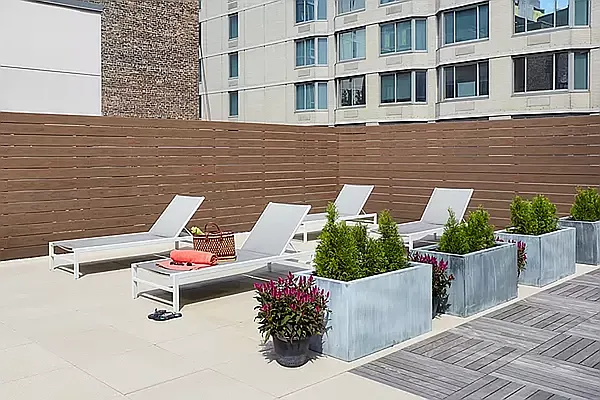 Rented by Douglas Elliman | media 18