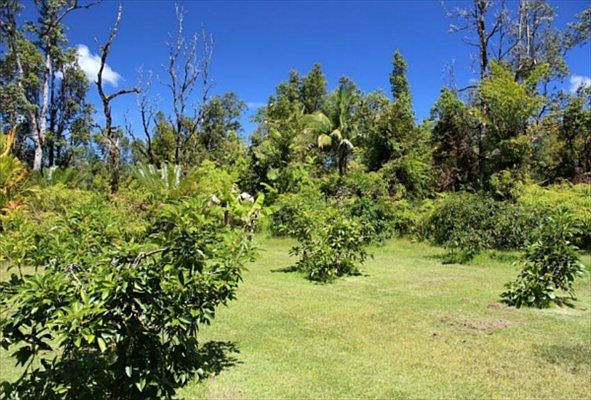 1st image of 13-1302 Leilani Ave Lot 35
