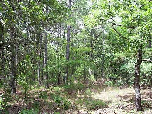 1st image of 192nd Ave SE Lot 1-24