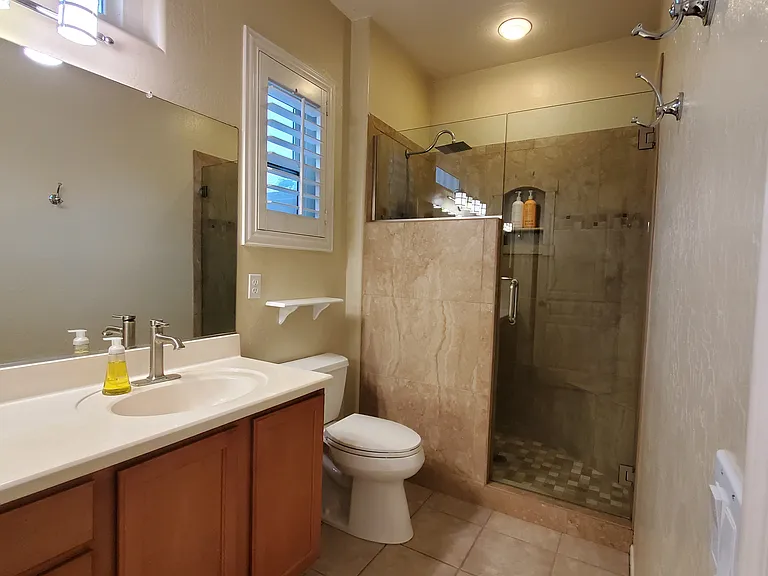 Primary bathroom