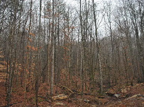 2401 Newsome Gap Rd, Rising Fawn, GA 30738