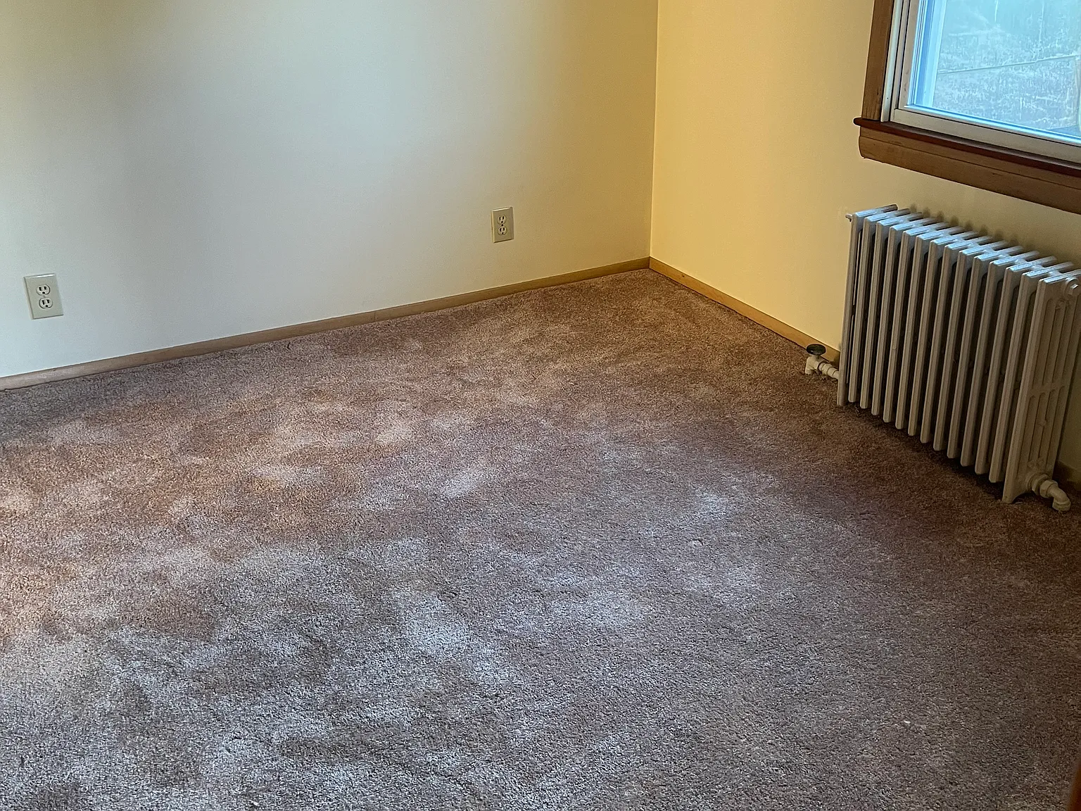 57 N Delmorr Ave — Photo 4
