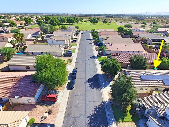 Desert Flower Aerial 3