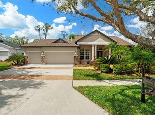 21300 Sky Vista Dr, Land O Lakes, FL 34637