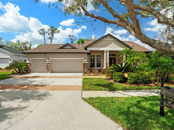 21300 Sky Vista Dr, Land O Lakes, FL 34637