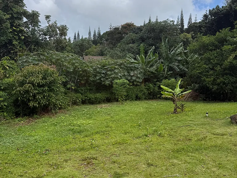 Beautiful large yard in back, shared space with upstairs tenant