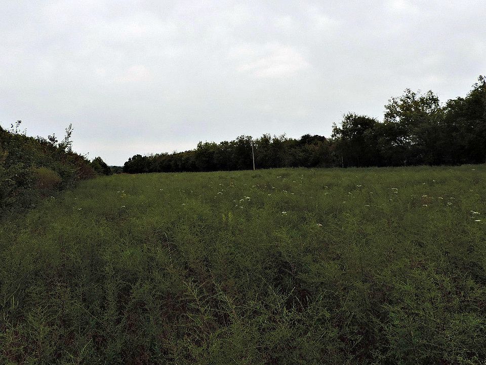 1st image of Old Newport Hwy