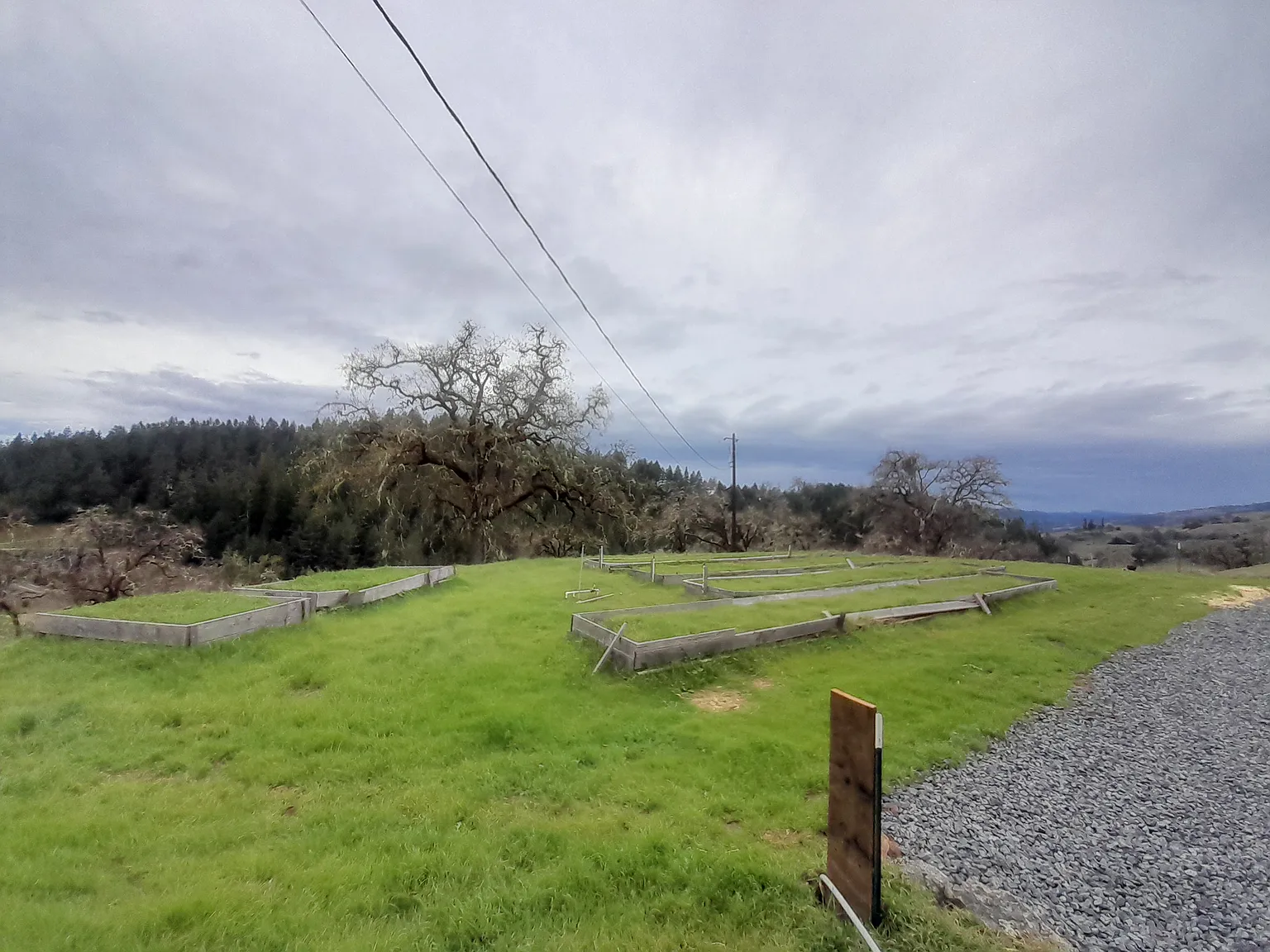 2 bed, 2500 sqft, $4,000 — Photo 3