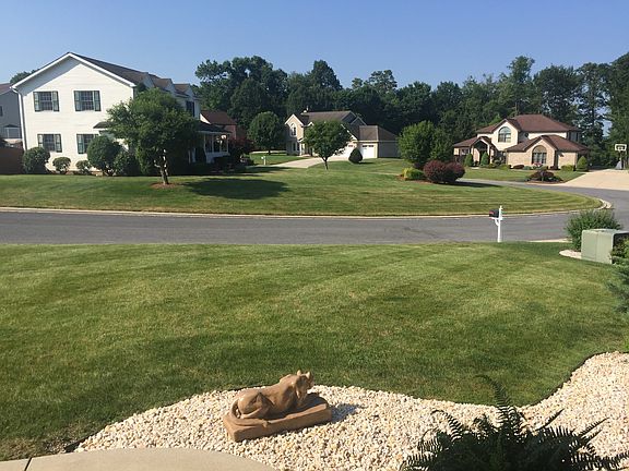 View from the Front Porch