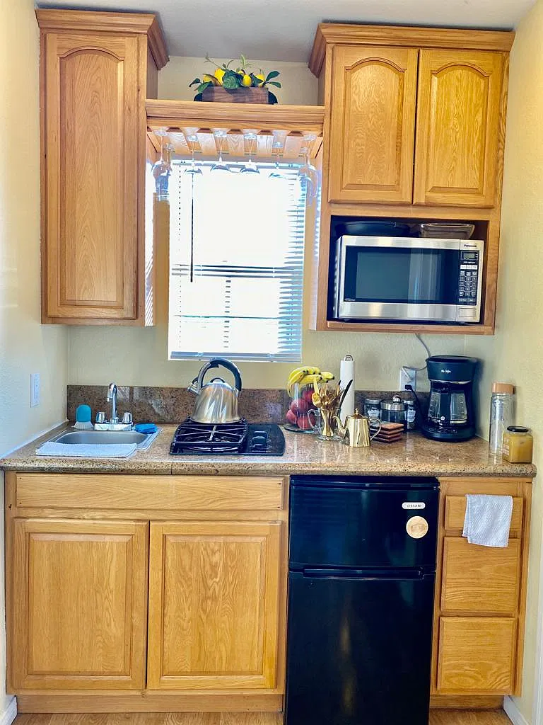 Studio, 600 sqft, $1,500 — Photo 4