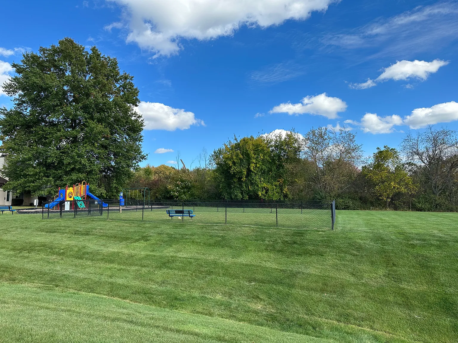 Pine Tree Village — Photo 4