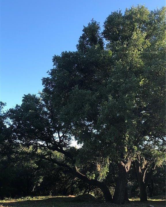 2nd image of 15505 Enid Dr
