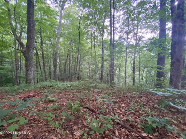0 Red Bird Drive, Hayesville, NC 28904