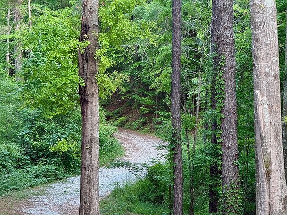 4th image of 1957 Whitaker Rd