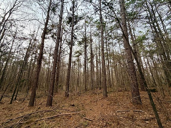 3rd image of Alcorn County Rd #106