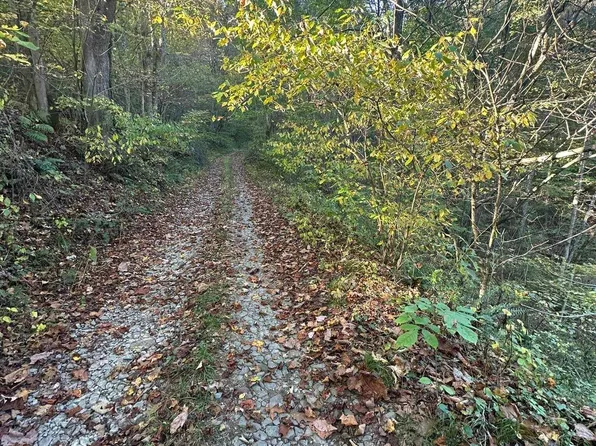 7 Cannon Hill Rd, Rowlesburg, WV 26425