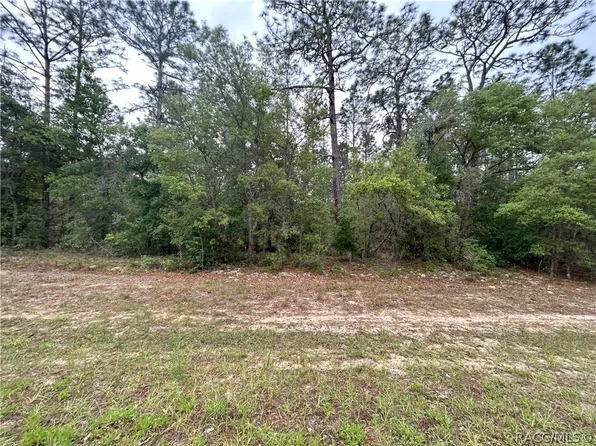 1594 W Donner Dr, Citrus Springs, FL 34434
