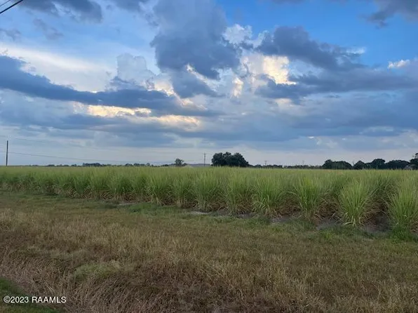 Albert Rd, Abbeville, LA 70510
