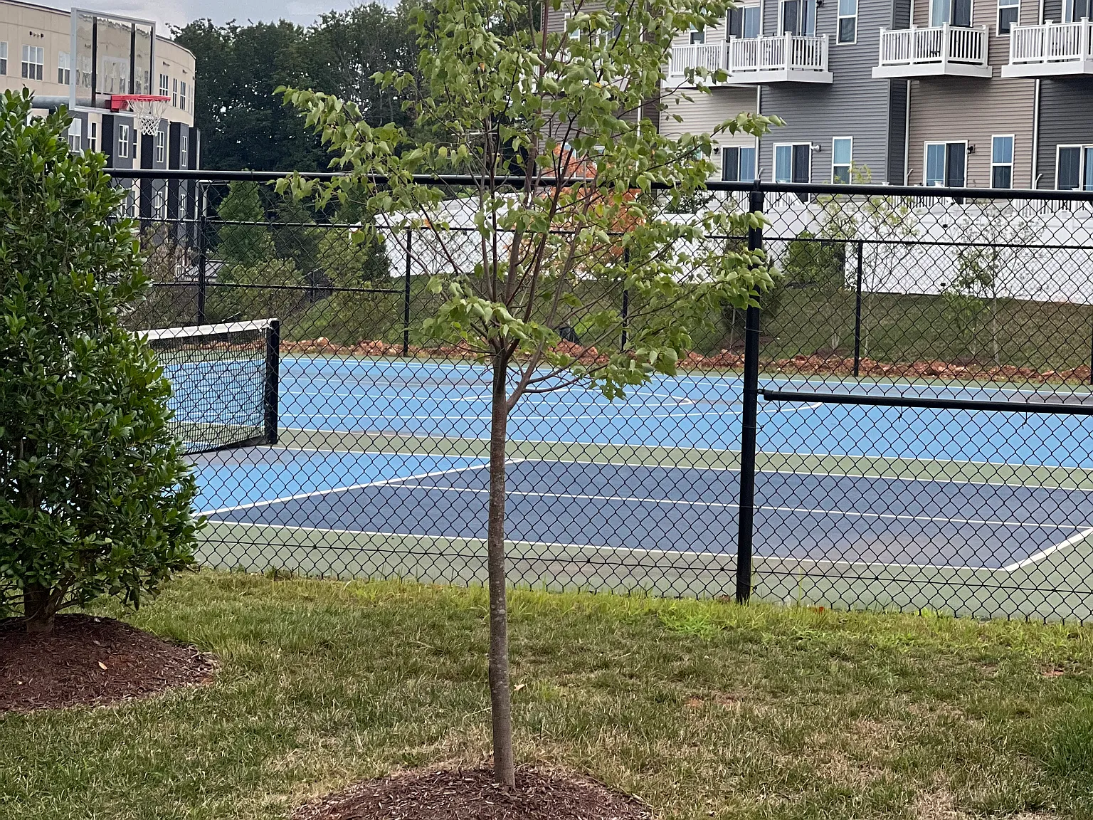 2 bed, 1162 sqft, $2,900 — Photo 4