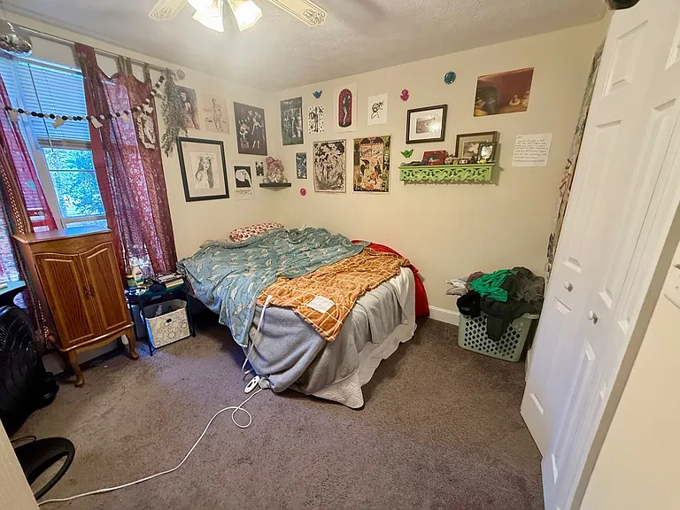 115 Knob Lick Dr — Photo 15