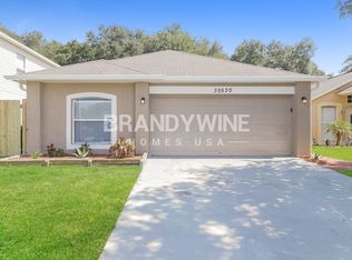 30530 Double Dr, Wesley Chapel, FL 33545
