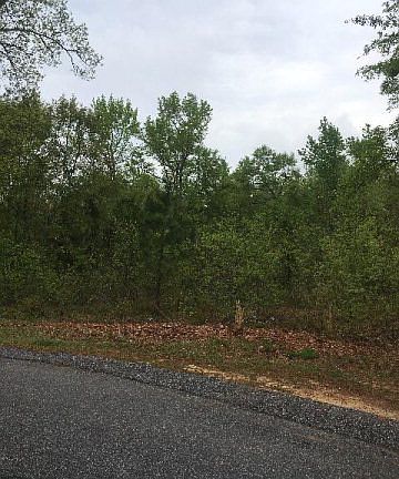 3rd image of 50 Spanish Moss Cir