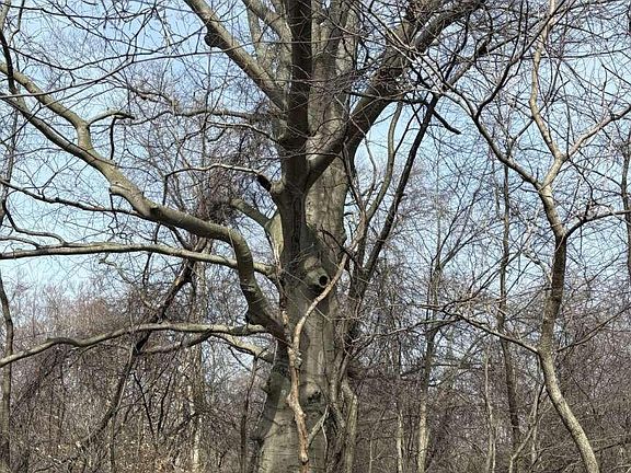 3rd image of 5828 Township Road 14