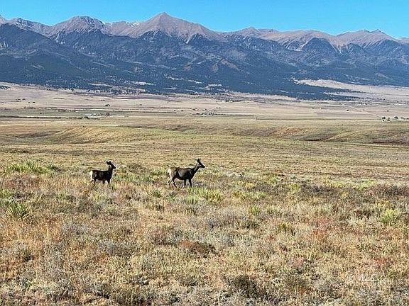 2nd image of 900 Taos Trl