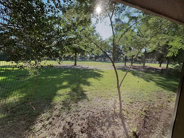 Huge backyard on golf course