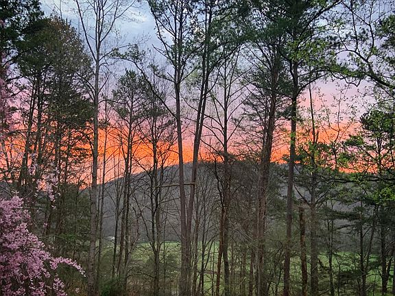 41st image of this home