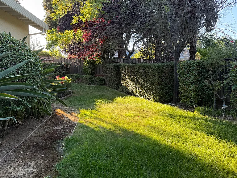 1885 Justino Dr — Photo 19