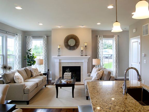 Marble Surround Fireplace