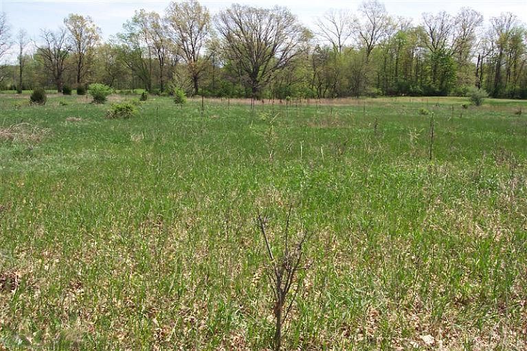 2nd image of 3 Silver Creek Rd